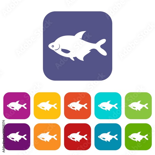 Fish icons set vector illustration in flat style in colors red  blue  green  and other