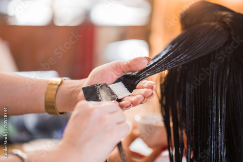 Close up of hairdresser woman applying hair care with a comb her client. health