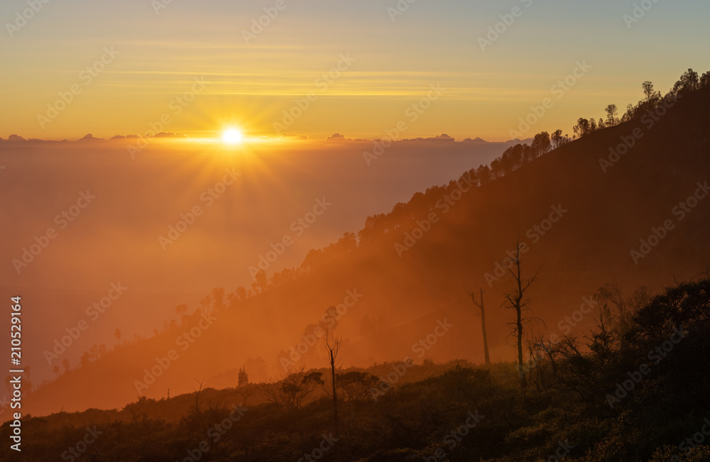 Fototapeta premium Sunrise landscape, silhouette trees and mountain range with yellow sunlight in the morning sunrise