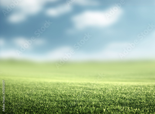 Fototapeta Naklejka Na Ścianę i Meble -  field of spring grass (shallow DOF)
