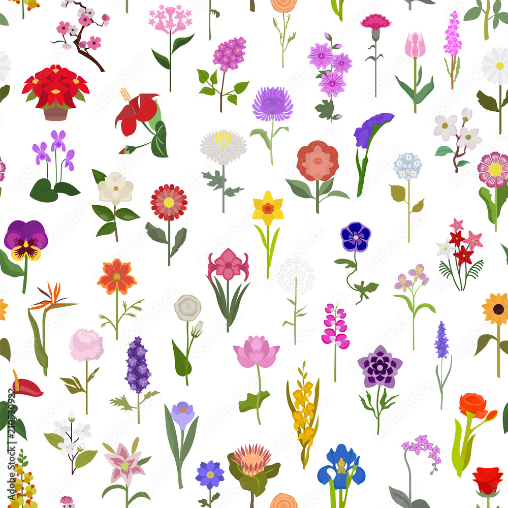 Fototapeta premium Your garden guide. Top 50 most popular flowers seamless pattern
