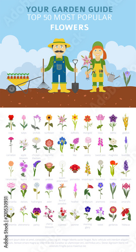 Fototapeta Naklejka Na Ścianę i Meble -  Your garden guide. Top 50 most popular flowers infographic