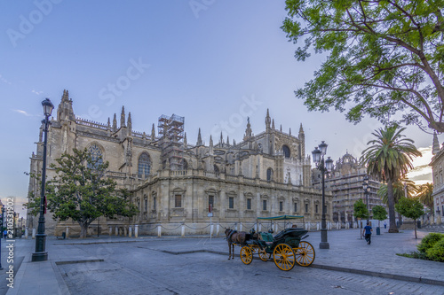 Carruaje de caballos frente a la Catedral de Sevilla en Andalucia, España