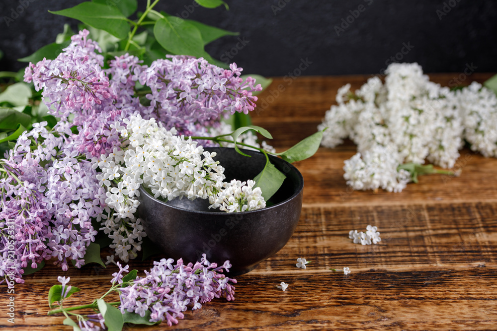 Beautiful purple and snow-white lilac flowers with a black ceramic cup standing nearby.