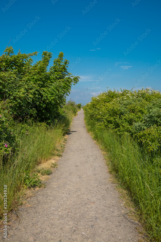 Strandzugang durch die Dünen in Mecklenburg-Vorpommern Strandzugang durch die Dünen in Mecklenburg-Vorpommern