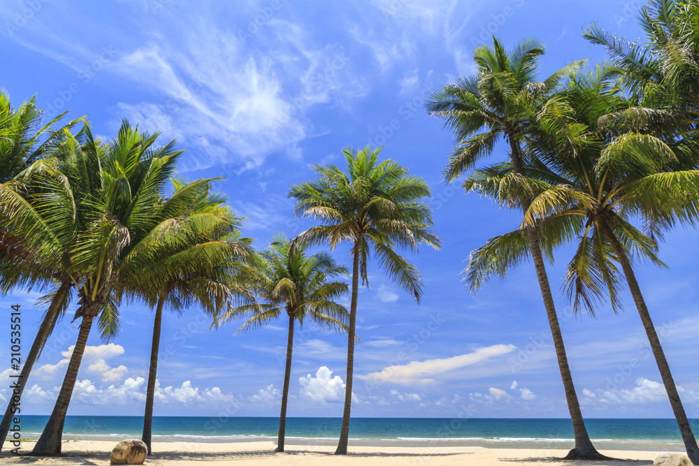 Coconut Trees On The White Beach.
