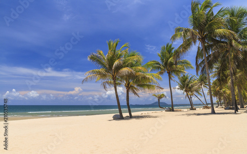 Fototapeta Naklejka Na Ścianę i Meble -  Coconut Trees On The White Beach.