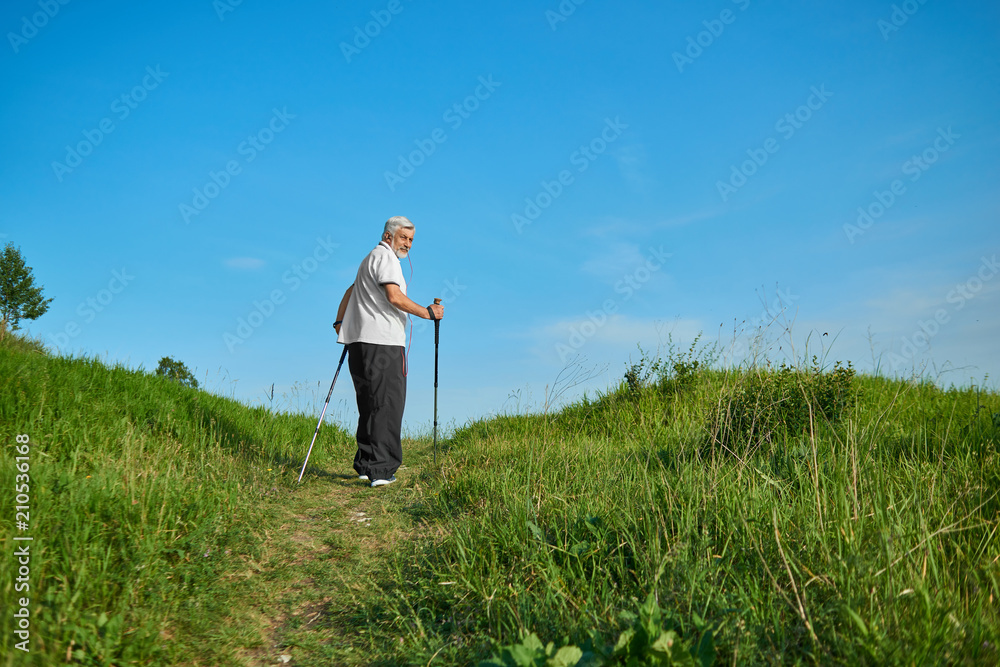 Man walking in field with tracking sticks. Saturated green grass, bright blue sky. Outdoors sport activities. Wearing classic white polo shirt with dark blue stripes, sport watch. Healthy lifestyle. Man walking in field with tracking sticks. Saturated green grass, bright blue sky. Outdoors sport activities. Wearing classic white polo shirt with dark blue stripes, sport watch. Healthy lifestyle.