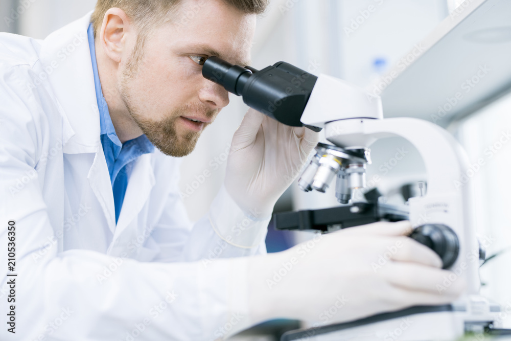 Crop view of young male scientist in laboratory coat studying nutrition properties of food and analyzing samples under microscope Crop view of young male scientist in laboratory coat studying nutrition properties of food and analyzing samples under microscope