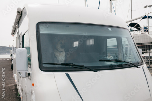 A German Shepherd dog is waiting for its owner inside the car. Travel together