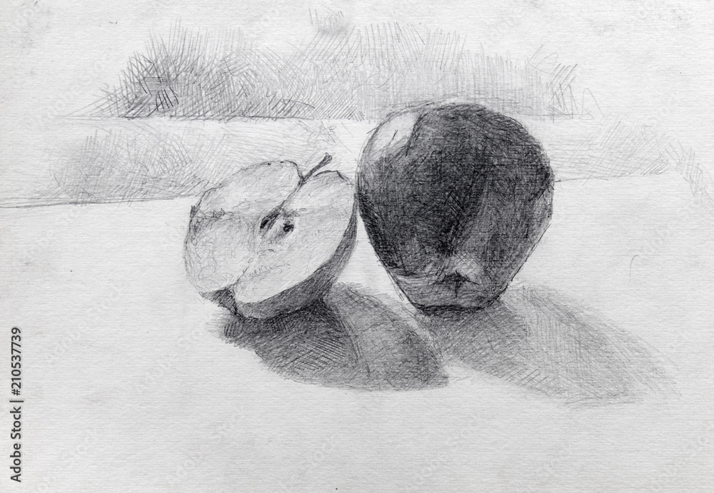 Naklejka premium still life, pencil drawing, sketch