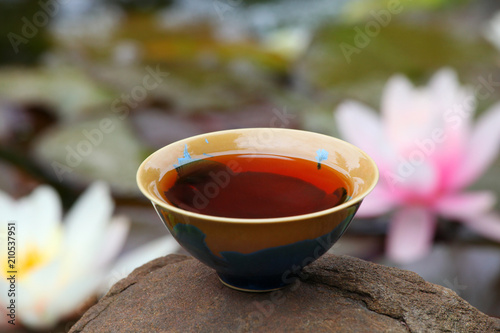 Black Chinese Tea garden