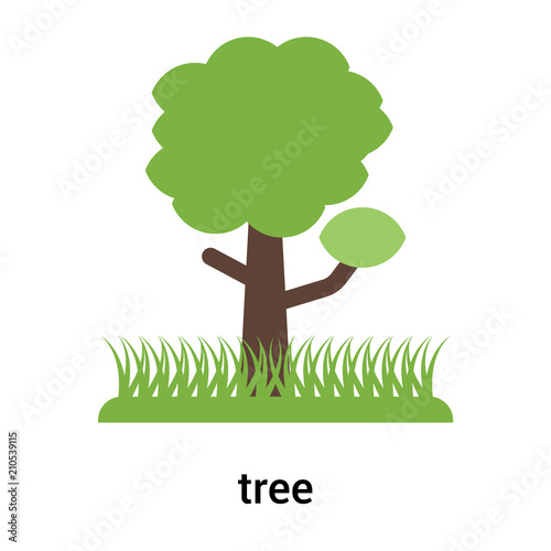 tree icon vector sign and symbol isolated on white background  tree logo concept