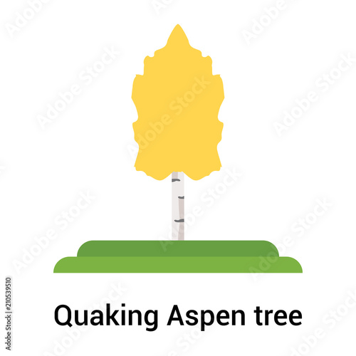 Quaking Aspen tree icon vector sign and symbol isolated on white background, Quaking Aspen tree logo concept