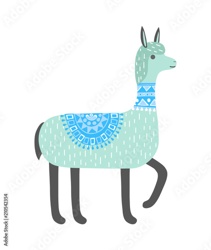 Cute llama isolated on white background. Alpaca. Vector illustration.