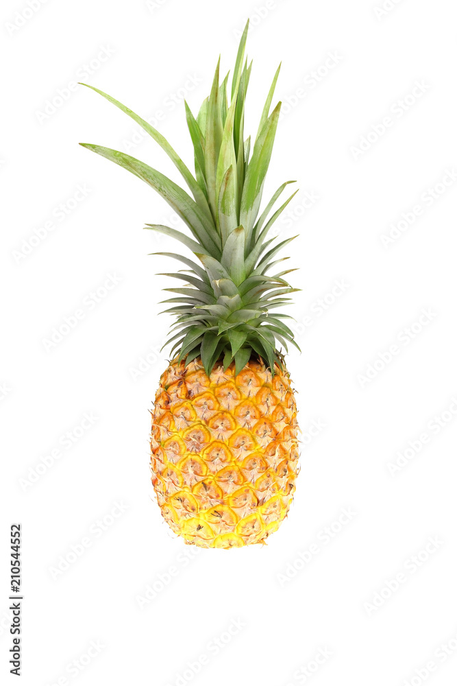 pineapple isolated on white background pineapple isolated on white background