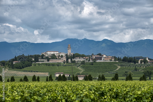 Castello di Susegana (San Salvatore) tra i vigneti di prosecco photo