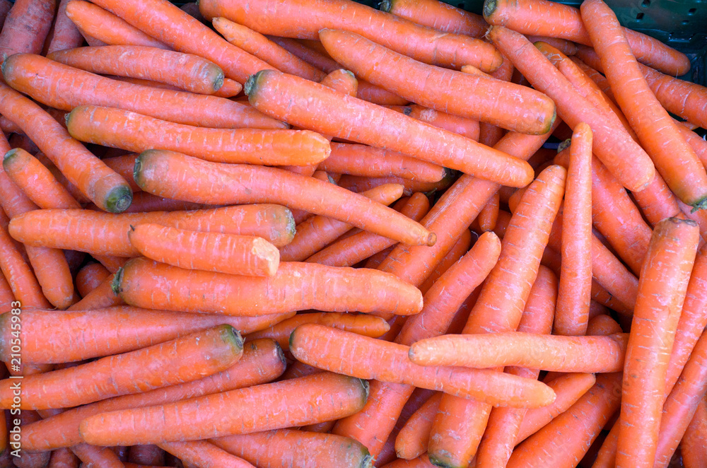 Stacked bunched of fresh raw carrots Stacked bunched of fresh raw carrots