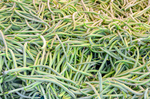 Background texture of fresh green runner beans
