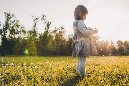 Beautiful little girl kid playing with dandelion on meadow outdoor on sunset light. Pretty cute child wearing dress enjoy and explore nature in the park. Happy emotion. Happy Mother's Day. Childhood