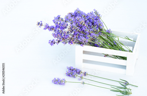 Fototapeta Naklejka Na Ścianę i Meble -  Fresh lavender in white basket on white wooden background.