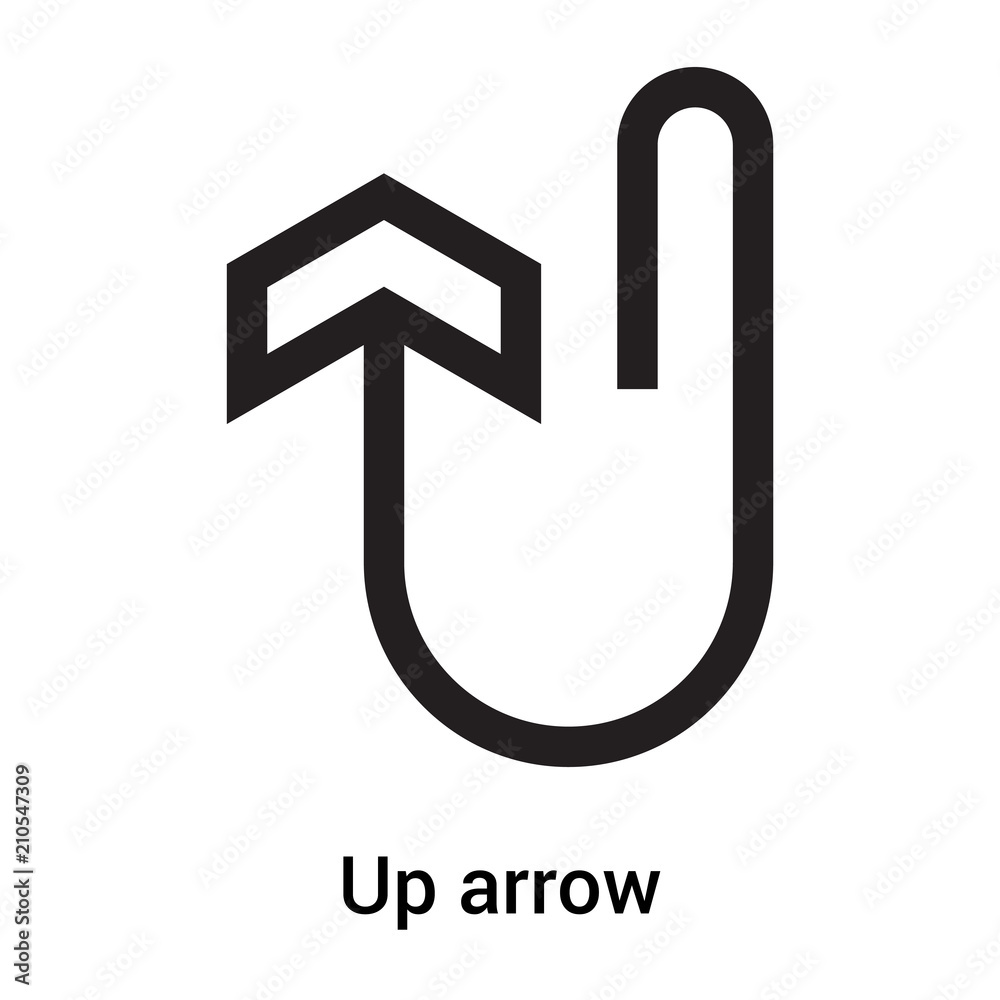 Up arrow icon vector sign and symbol isolated on white background, Up arrow logo concept