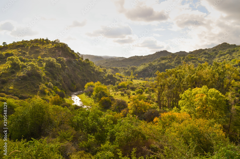 Fototapeta premium monte