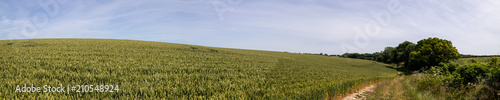 Rural Field Panorama