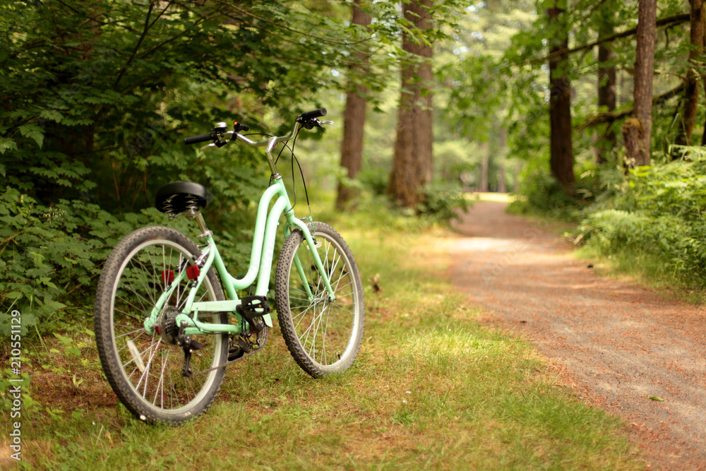 Women's bicycle on a bike path at a park.