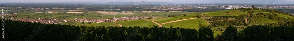 Bennwihr, Mittelwihr et le Mont de Sigolsheim en Alsace