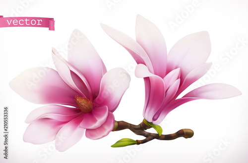 Canvas Print Magnolia. 3d realistic vector icon