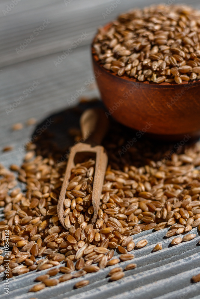 spelt seeds on a wooden rustic background spelt seeds on a wooden rustic background