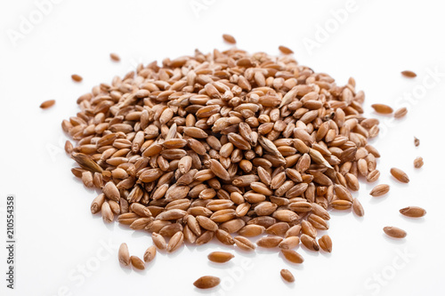 spelt seeds on a white acrylic background