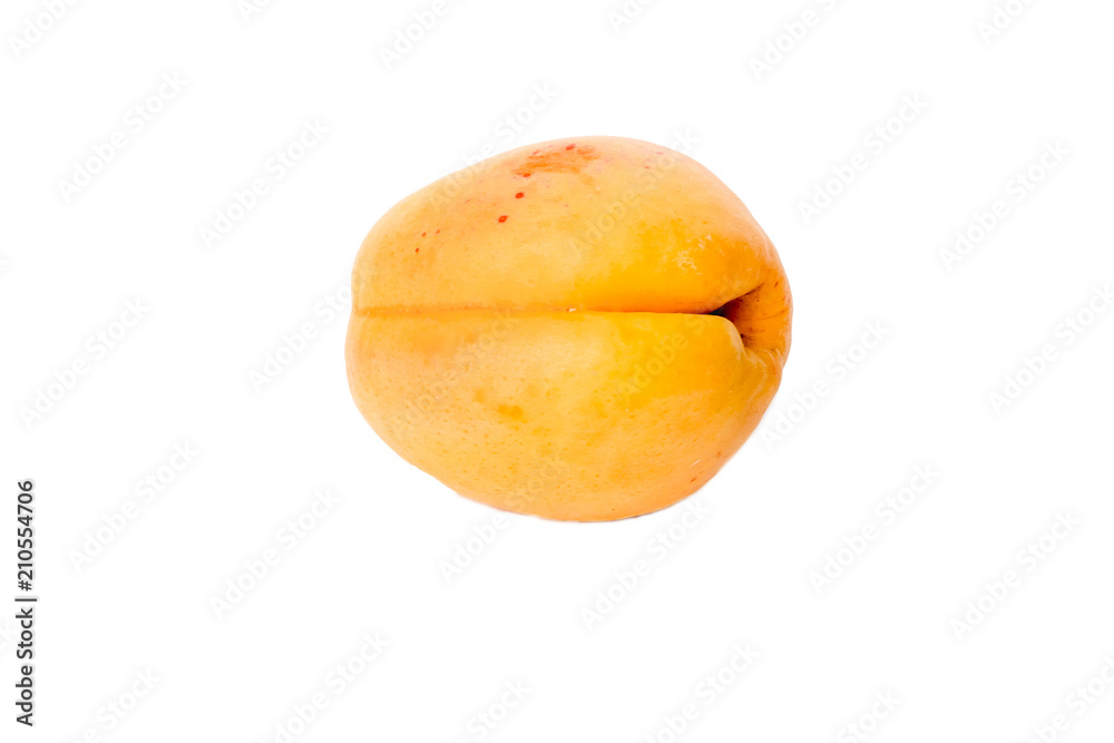 apricots isolated on white background apricots isolated on white background