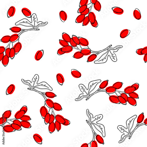 Barberry plant with red berries seamless pattern. Vector illustation.