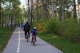 dad and daughter on bicycles in the Park, rear view