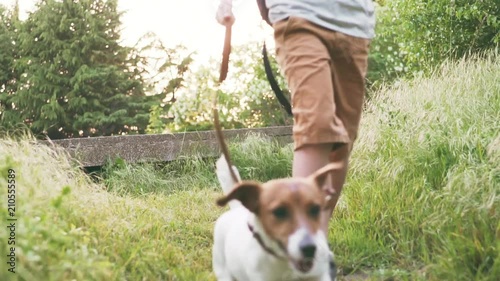 Slow motion a happy boy is running happily with his dog breed Jack Russell along the path among the tall grass in a clearing in the city park. A child plays with his pet photo