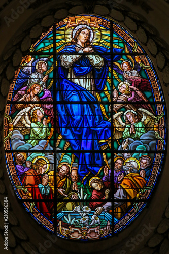 Slika na platnu Stained Glass, Assumption of Mary