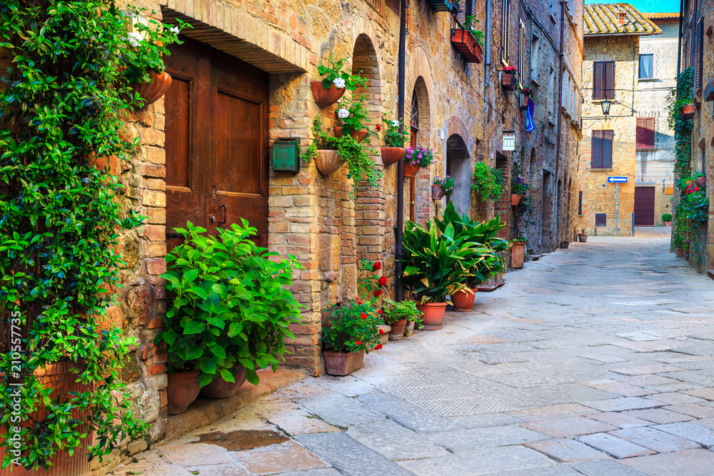 Rustic brick houses decorated with colorful flowers, Pienza, Tuscany, Italy