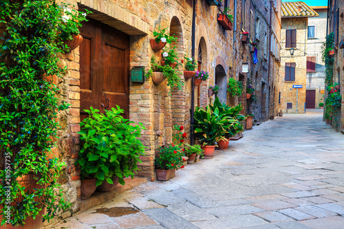 Rustic brick houses decorated with colorful flowers, Pienza, Tuscany, Italy © janoka82