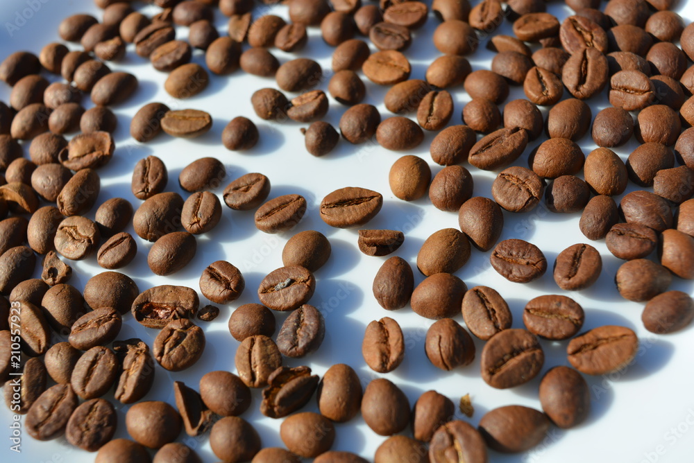On a white glass plate spilled chaotically coffee beans laid delicious grains throughout the plate On a white glass plate spilled chaotically coffee beans laid delicious grains throughout the plate