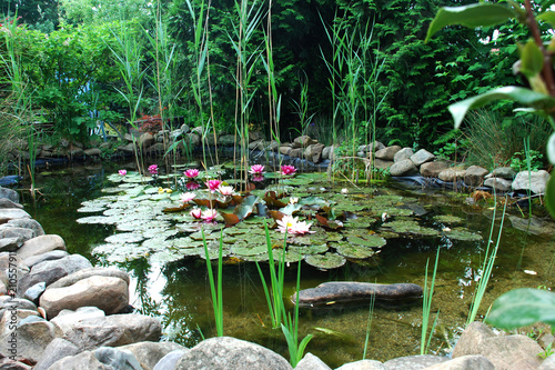 Gartenteich