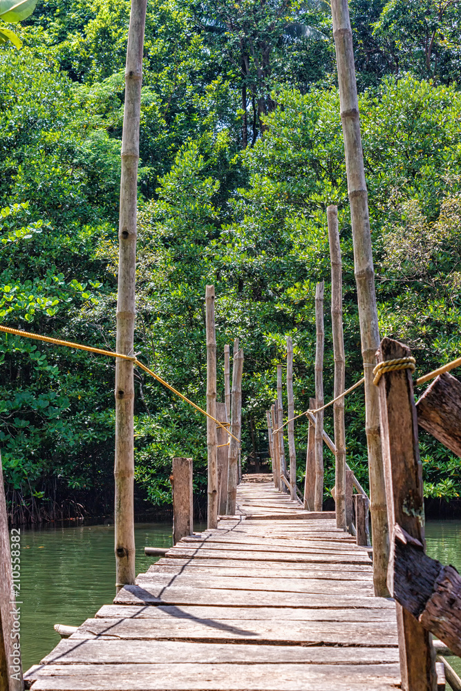Wooden bridge in the jungle - Palawan Island, Philippines Wooden bridge in the jungle - Palawan Island, Philippines