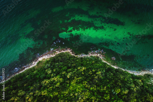 Aerial view of wild beach