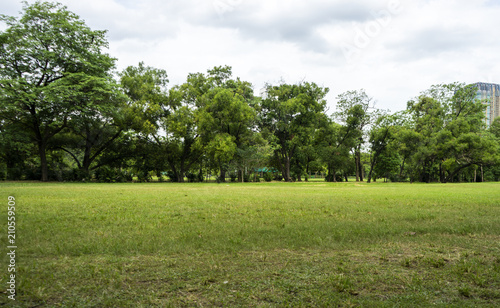 Fototapeta Naklejka Na Ścianę i Meble -  Image of green garden background in the park