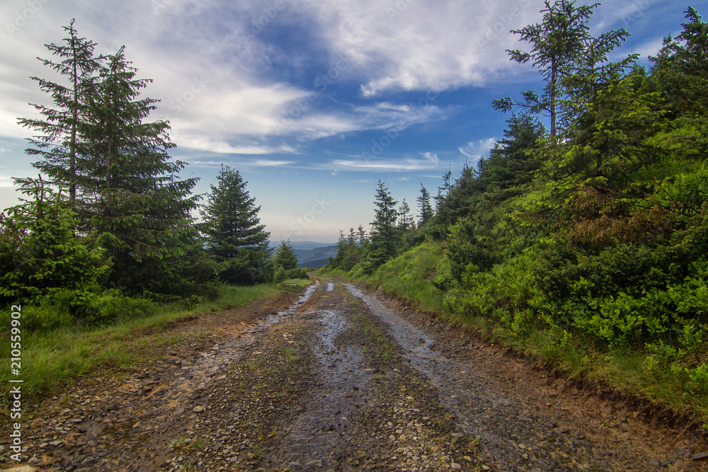 The road in the Carpathian mountains.  Ukraine.