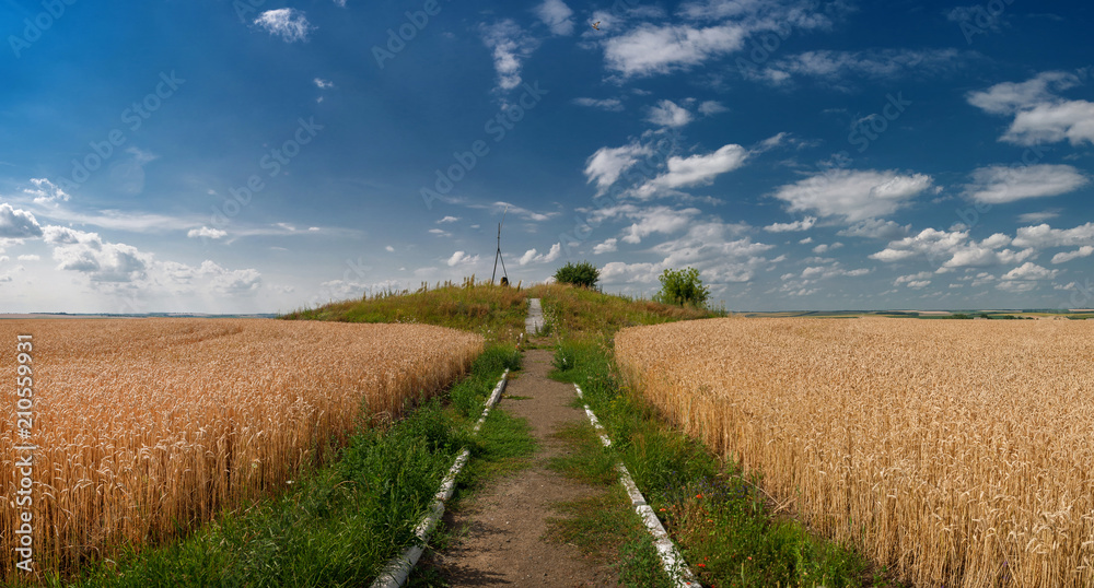 Struve Geodetic Арк for measuring the land in the wheat field of Ukraine.