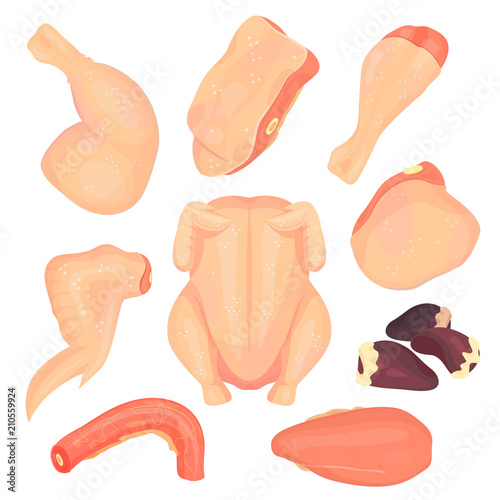 Raw chicken meat