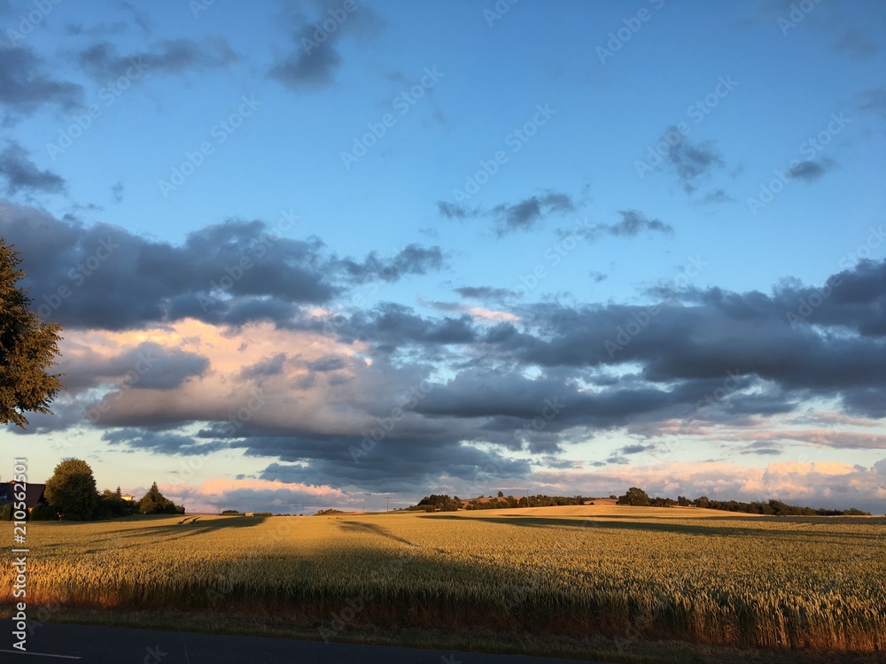 Fototapeta premium Sunset