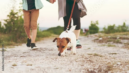 Slow motion a mother and son with a dog breed Jack Russell terrier strolling through a mountain plateau cut a beautiful nature. Family on vacation with a pet. Happy moments of life style